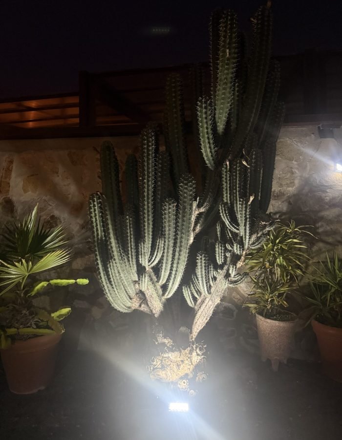 casita-oyala (138)