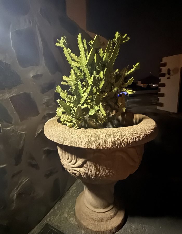 casita-oyala (140)