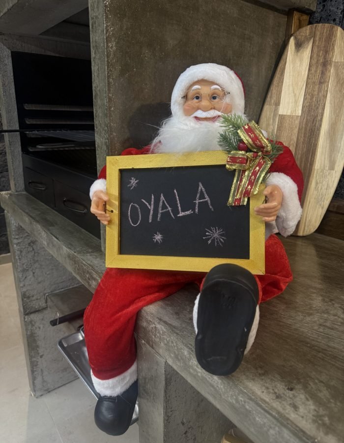 casita-oyala (49)
